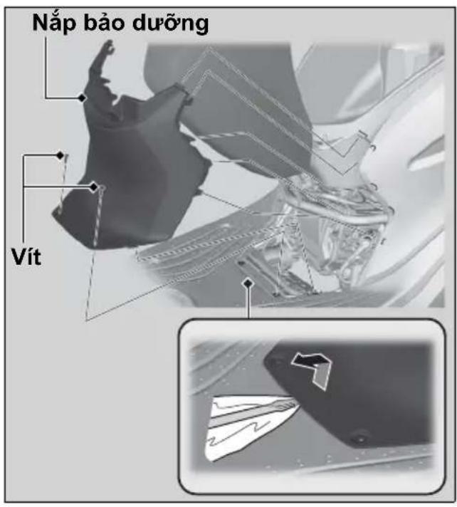 Nắp bảo dưỡng Vít