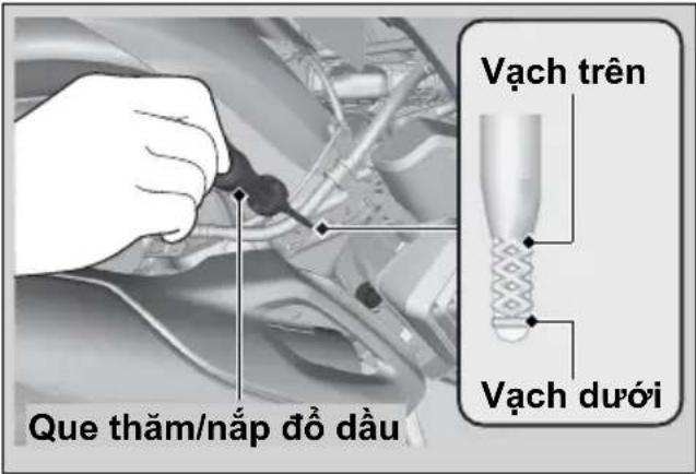 Que thăm/nắp đồ dầu Vạch trên Vạch dưới