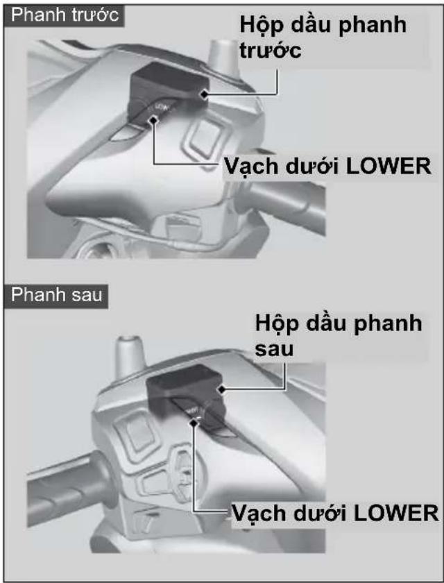 Phanh trước Hộp dầu phanh trước Vạch dưới LOWER Phanh sau Hộp dầu phanh sau Vạch dưới LOWER