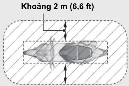 Khoảng 2 m (6,6 ft)