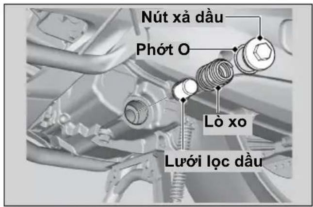 Nút xả dầu Phót O Lò xo Lưới lọc dầu