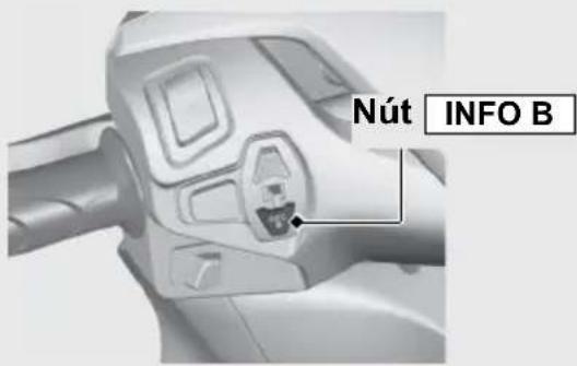 Nút INFO B