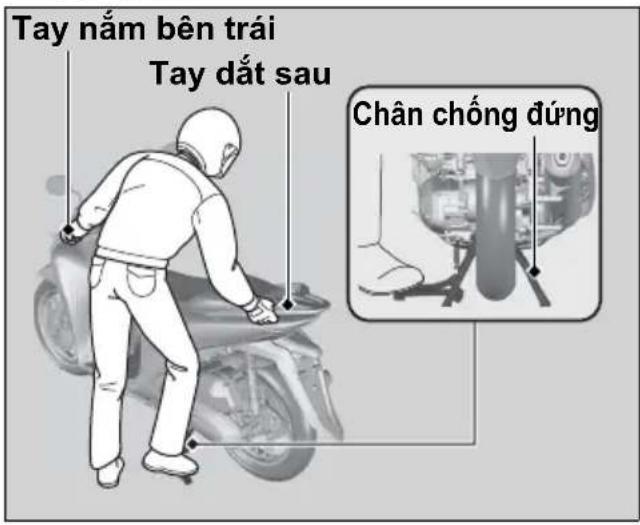 Tay nằm bên trái Tay đất sau Chân chống đúng