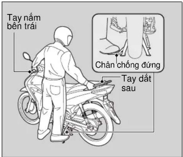 Tay nám bên trái Chân chống đúng Tay đất sau