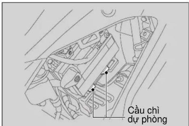 Cầu chỉ dự phòng