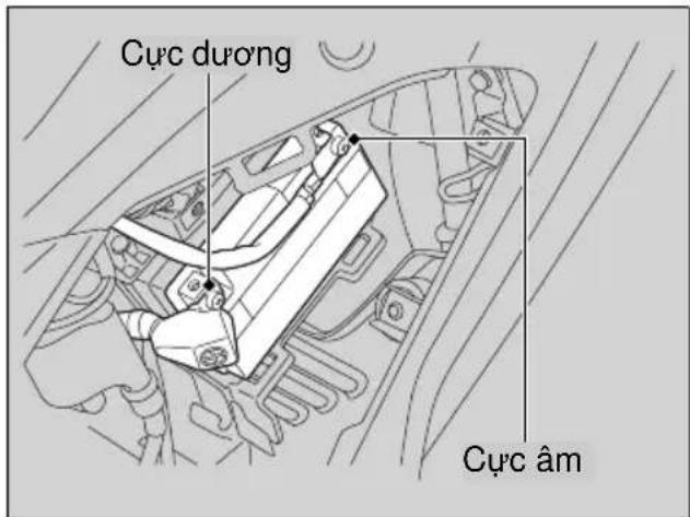 Cực dương Cực âm