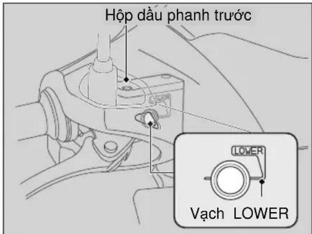 Hộp dâu phanh trước LOWER Vạch LOWER