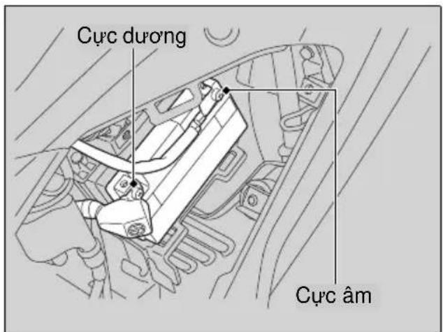 Cực dương Cực âm