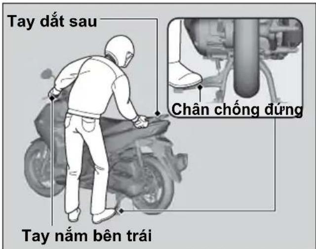 Tay đất sau Chân chống đúng Tay nằm bên trái