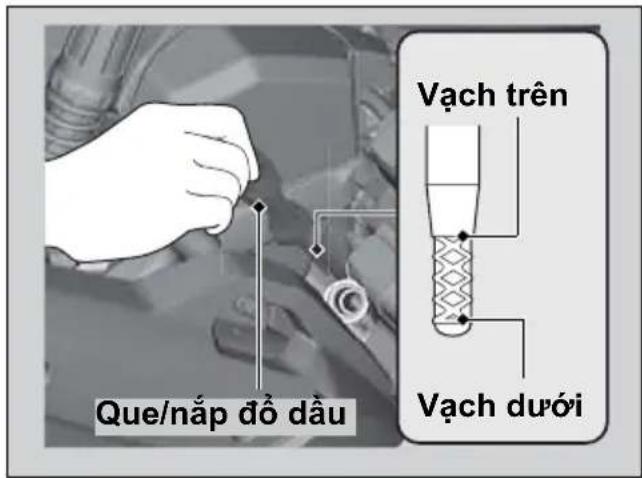 Que/nắp đồ dầu Vạch trên Vạch dưới