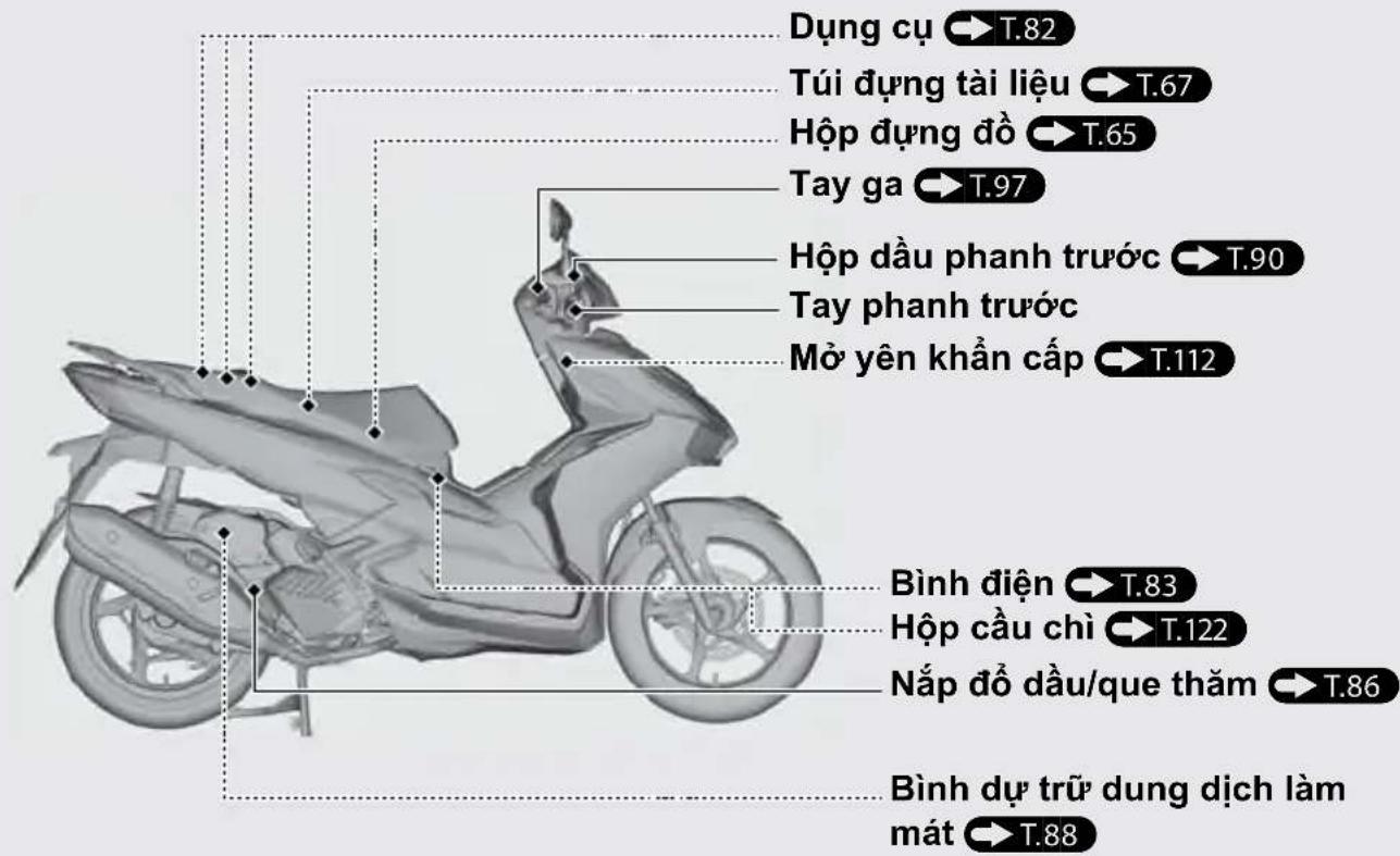 Dụng cụ →T.82 Túi dựng tài liệu →T.67 Hộp dụng đồ →T.65 Tay ga →T.97 Hộp dầu phanh trước →T.90 Tay phanh trước Mở yên khẩn cấp →T.112 Bình điện →T.83 Hộp cầu chỉ →T.122 Nắp đồ dầu/que thăm →T.86 Bình dự trữ dung dịch làm mát →T.88