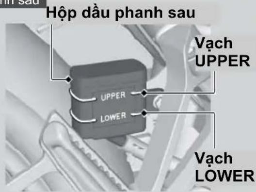 Hộp dầu phanh sau Vạch UPPER UPPER LOWER Vạch LOWER