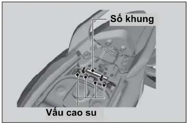 Số khung Vấu cao su