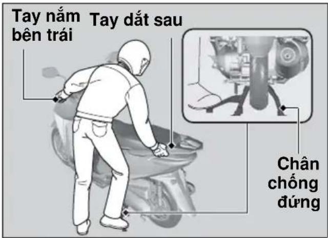 Tay nám bên trái Tay đất sau Chân chống đúng