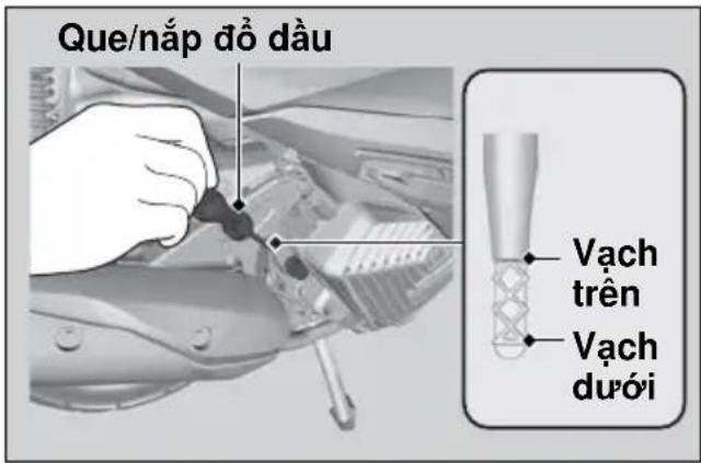 Que/nắp đồ dầu Vạch trên Vạch dưới