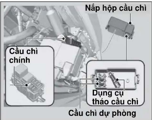 Nắp hợp cầu chì Cầu chì chính Dụng cụ tháo cầu chì Cầu chì dự phòng
