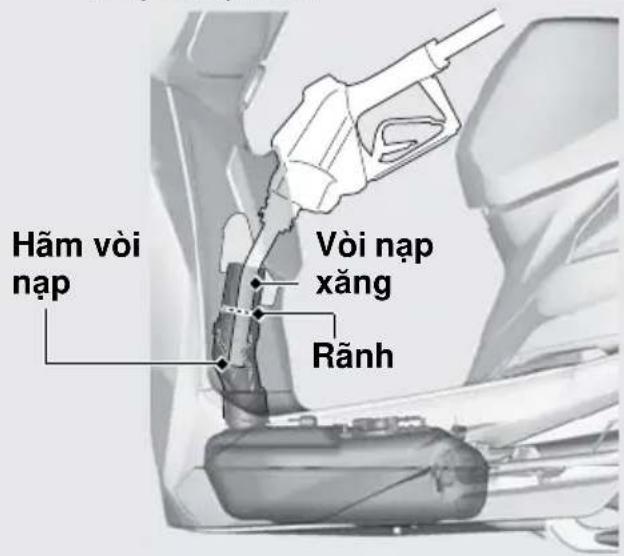 Hãm vòi nạp Vòi nạp xăng Rãnh