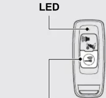 LED