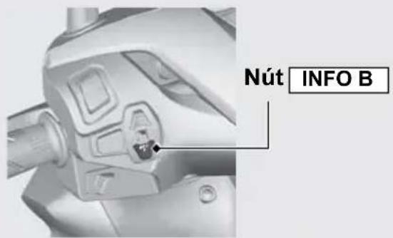 Nút INFO B