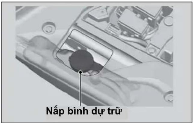 Nắp bình dự trữ