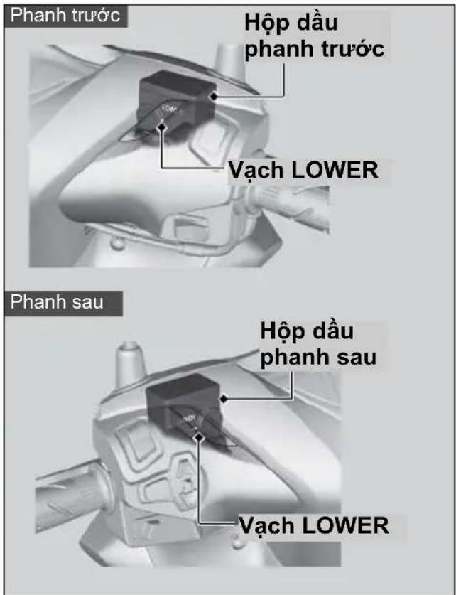 Phanh trước Hộp dầu phanh trước Vạch LOWER Phanh sau Hộp dầu phanh sau Vạch LOWER