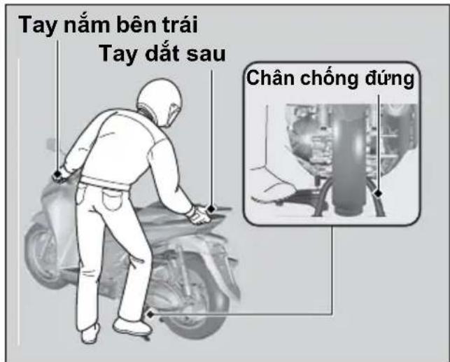 Tay nằm bên trái Tay đất sau Chân chống đúng