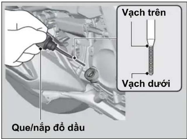 Que/nắp đồ dầu Vạch trên Vạch dưới