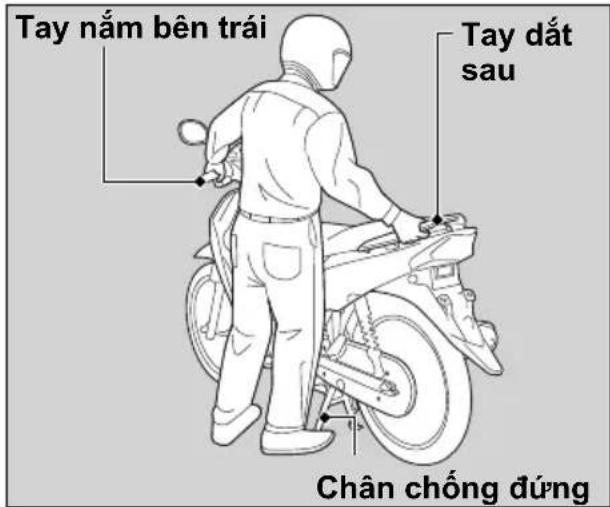 Tay nám bên trái Tay đất sau Chân chống đúng