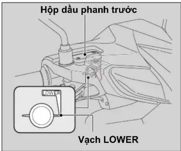 Hộp dàu phanh trước LOWER Vạch LOWER