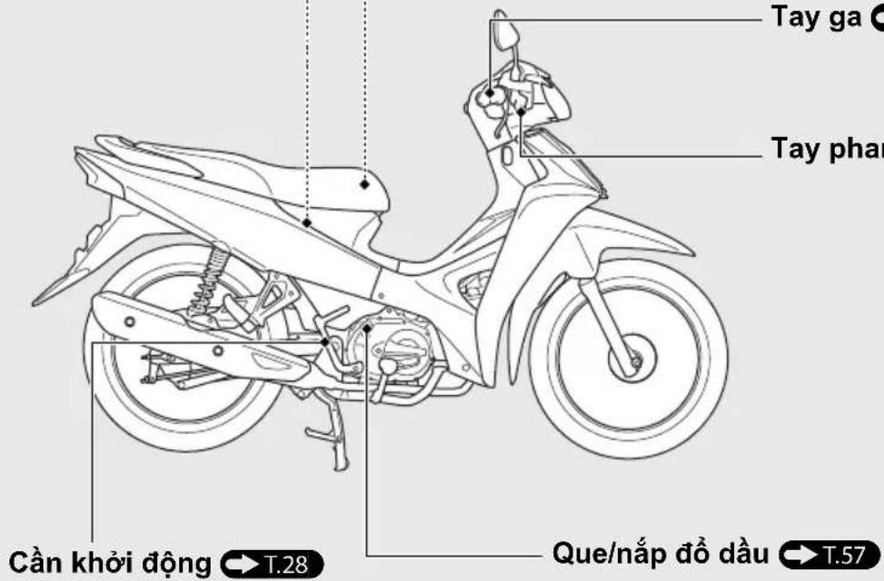 Tay ga Tay phan Cần khởi động ➤ T.28 Que/nắp đồ dầu ➤ T.57
