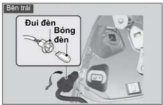 Bên trái Đui đèn Bóng đèn