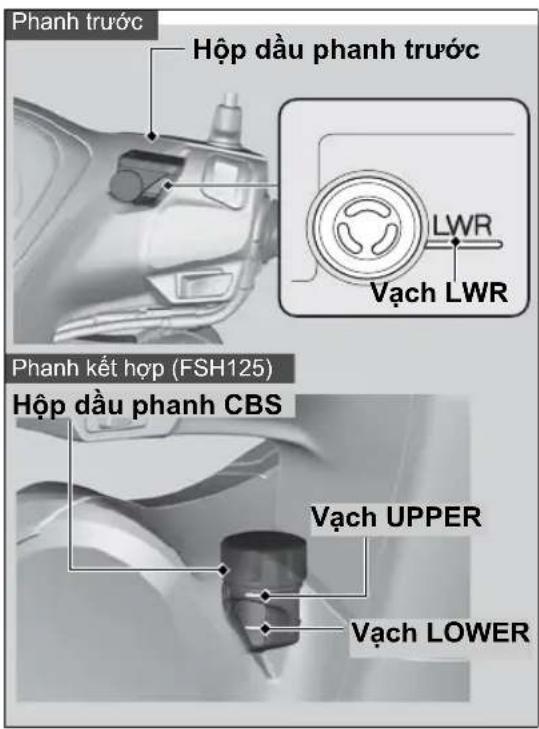 Phanh trước Hộp dầu phanh trước LWR Vạch LWR Phanh kết hợp (FSH125) Hộp dầu phanh CBS Vạch UPPER Vạch LOWER