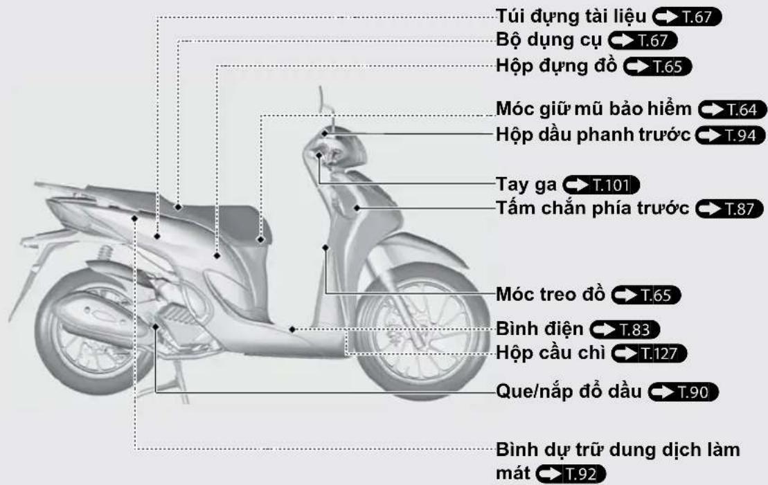 Túi dựng tài liệu → T.67 Bộ dụng cụ → T.67 Hộp dựng đồ → T.65 Móc giữ mũ bảo hiểm → T.64 Hộp dầu phanh trước → T.94 Tay ga → T.101 Tấm chắn phía trước → T.87 Móc treo đồ → T.65 Bình điện → T.83 Hộp cầu chỉ → T.127 Que/nắp đồ dầu → T.90 Bình dự trữ dung dịch làm mát → T.92