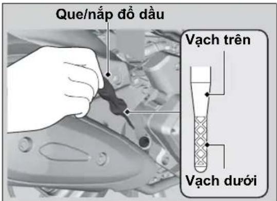 Que/nắp đồ dầu Vạch trên Vạch dưới