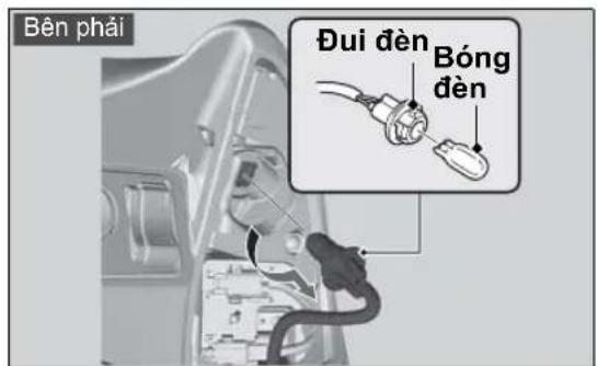 Bên phải Đui đèn Bóng đèn