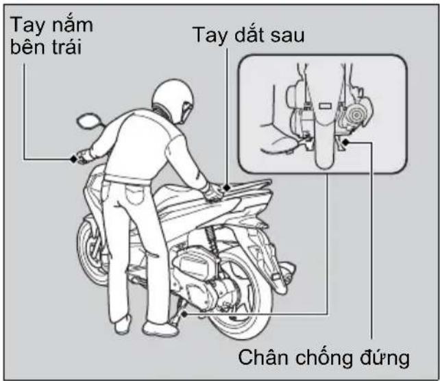 Tay nám bên trái Tay đất sau Chân chống đúng