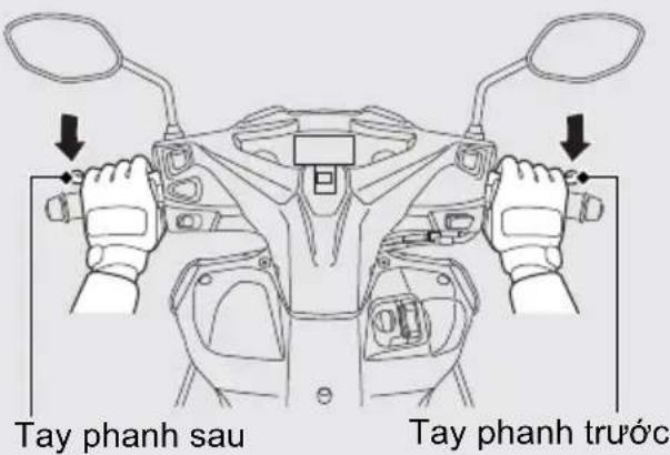Tay phanh sau Tay phanh trước