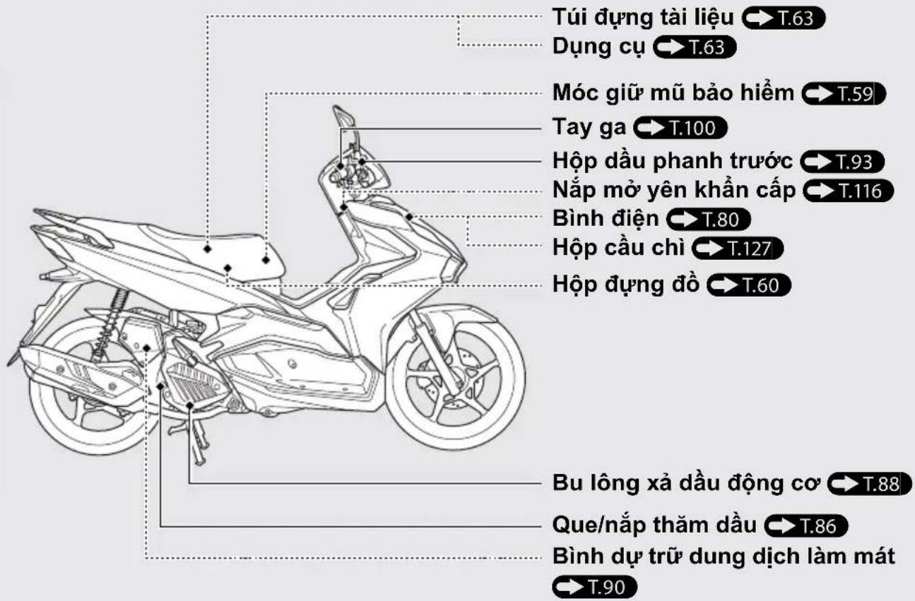 Túi dựng tài liệu → T.63 Dụng cụ → T.63 Móc giữ mũ bảo hiểm → T.59 Tay ga → T.100 Hộp đầu phanh trước → T.93 Nắp mở yên khẩn cấp → T.116 Bình điện → T.80 Hộp cầu chỉ → T.127 Hộp dựng đồ → T.60 Bu lông xả đầu động cơ → T.88 Que/nắp thăm dầu → T.86 Bình dự trữ dung dịch làm mát → T.90