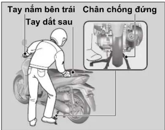 Tay nằm bên trái Tay đất sau Chân chống đúng
