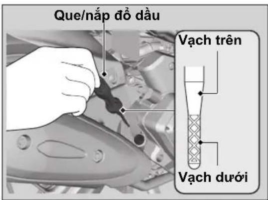 Que/nắp đồ đầu Vạch trên Vạch dưới