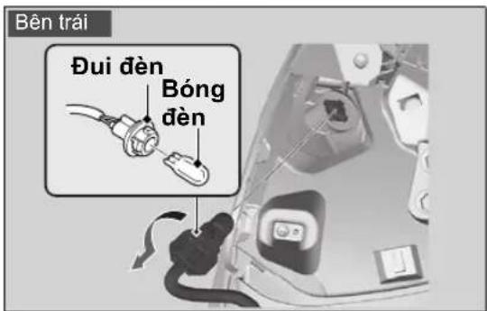 Bên trái Đui đèn Bóng đèn
