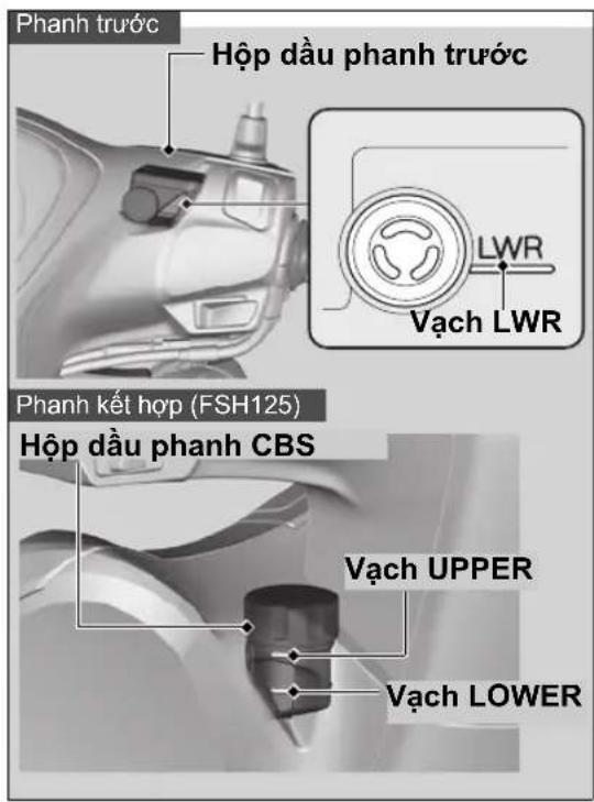 Phanh trước Hộp dầu phanh trước LWR Vạch LWR Phanh kết hợp (FSH125) Hộp dầu phanh CBS Vạch UPPER Vạch LOWER