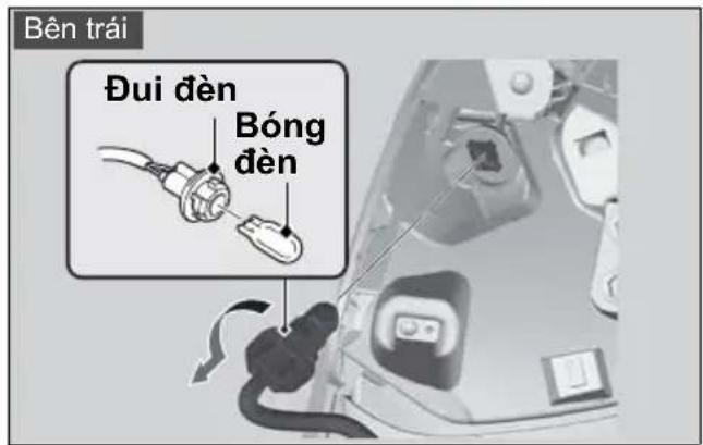 Bên trái Đui đèn Bóng đèn