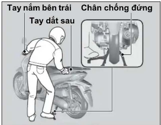 Tay nằm bên trái Tay đất sau Chân chống đúng