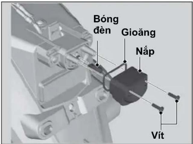 Bóng đèn Gioăng Nắp Vít