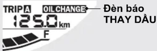 TRIPA OIL CHANGE 125.0 km F Đèn báo THAY DẦU