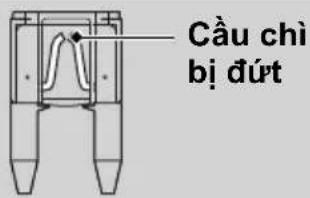 Cầu chì bì dứt