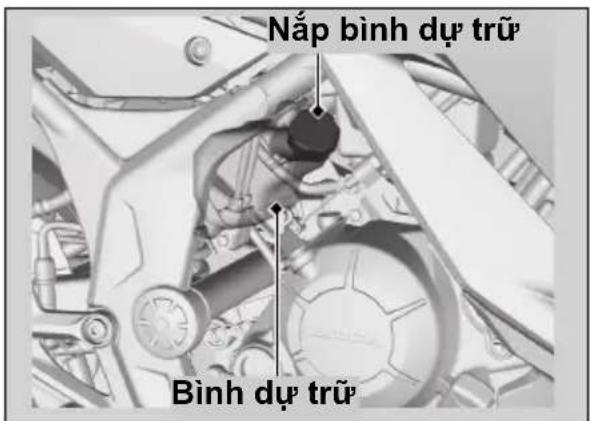Nắp bình dự trữ Bình dự trữ