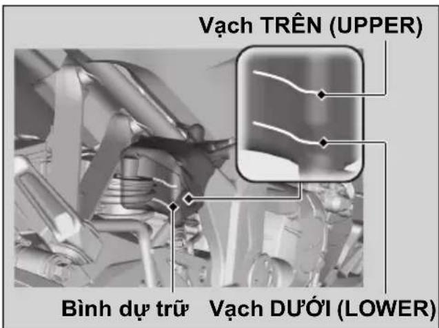 Vạch TRÊN (UPPER) Bình dự trữ Vạch DƯỚI (LOWER)