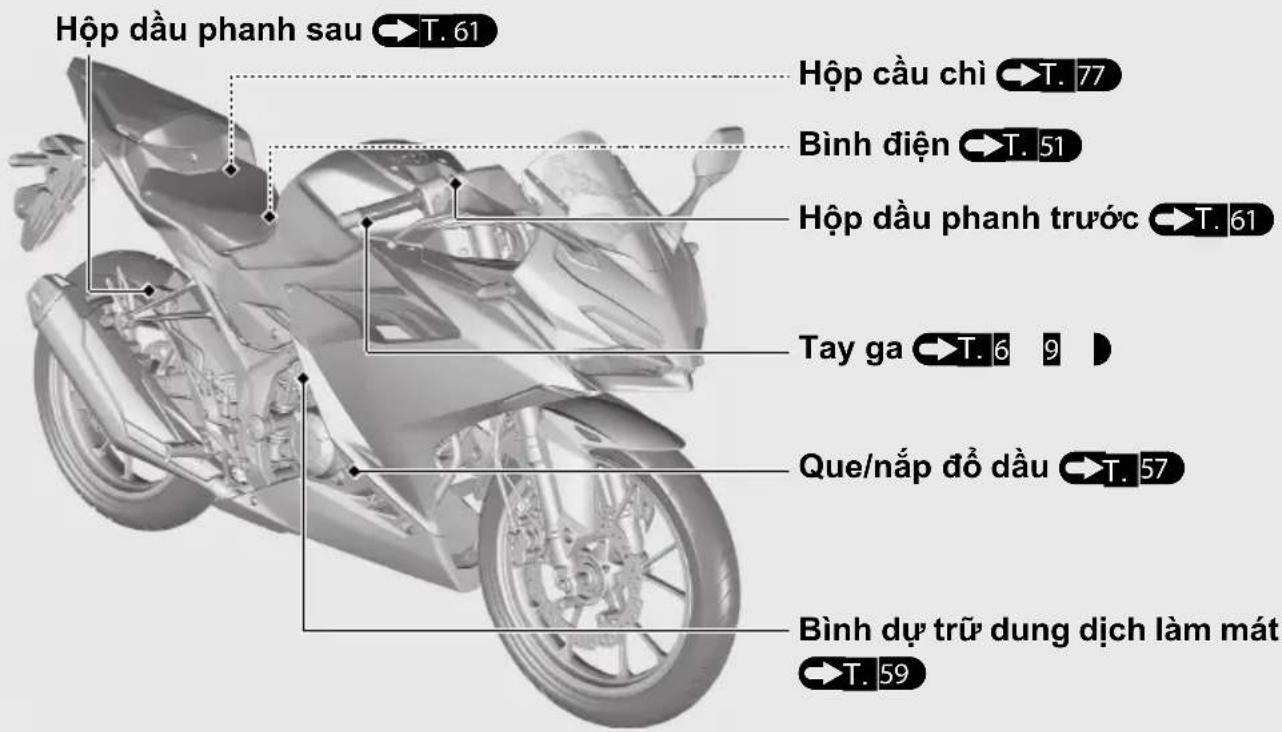 Hộp dầu phanh sau →T. 61 Hộp cầu chì →T. 77 Bình điện →T. 51 Hộp dầu phanh trước →T. 61 Tay ga →T. 6 9 Que/nắp đồ dầu →T. 57 Bình dự trữ dung dịch làm mát →T. 59